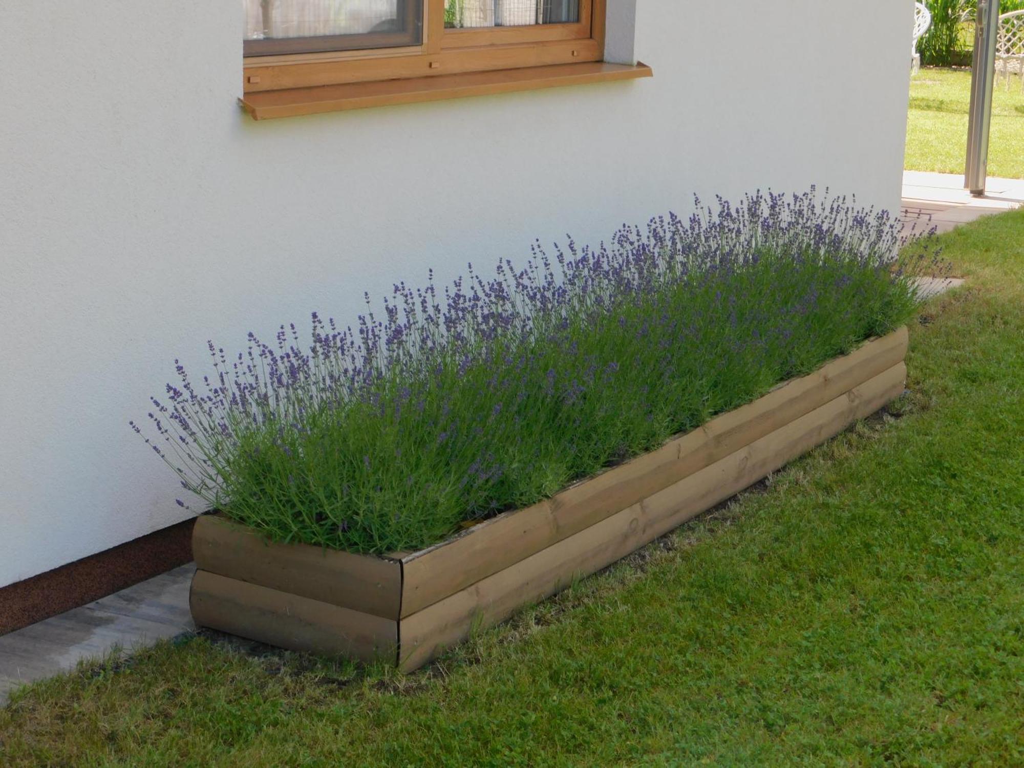Forest House Sasino-Spa Sauna Balia Εξωτερικό φωτογραφία